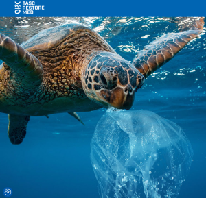 Open Call n.1: 7 milioni di euro per comunità, organizzazioni e imprese impegnate nel ripristino degli ecosistemi acquatici del Mediterraneo