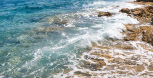 Due webinar sulla partecipazione alle open call: finanziamenti per progetti a beneficio dell’ambiente mediterraneo