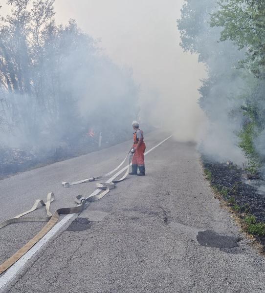 Vigile del fuoco con manichetta lungo una strada del Carso invasa dal fumo durante un incendio